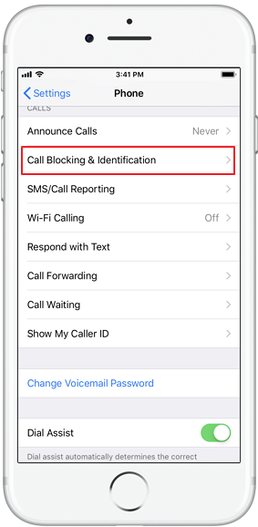 Call Blocking and Identification