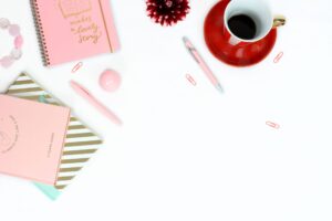 The Journal of an NGO