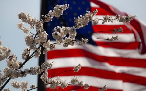 Jak prorazit na americkém trhu a porozumět jeho požadavkům
