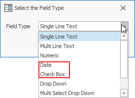 Date or Check Box Custom Field