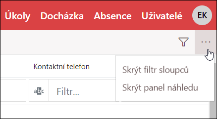 Filter stĺpcov a panel náhľadu