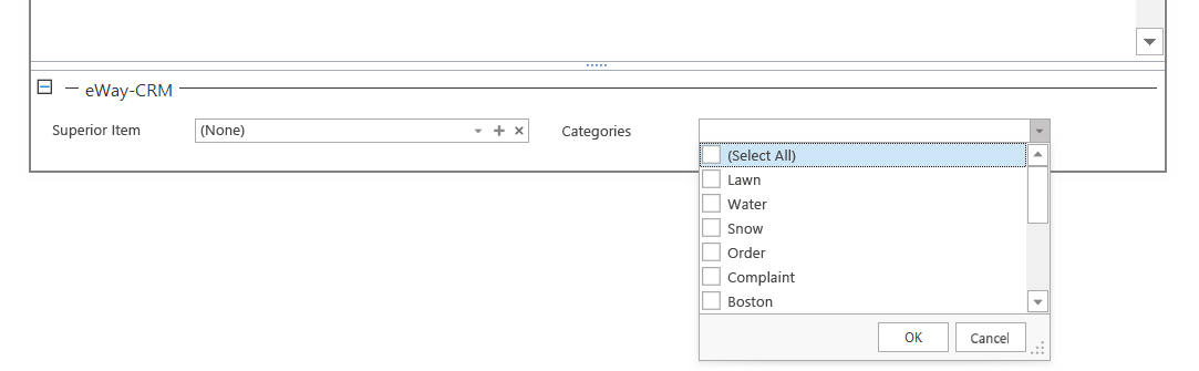 eWay-CRM categories