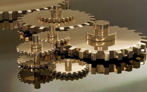 4 Great SaaS Companies of 2021 & Secrets of Their Success