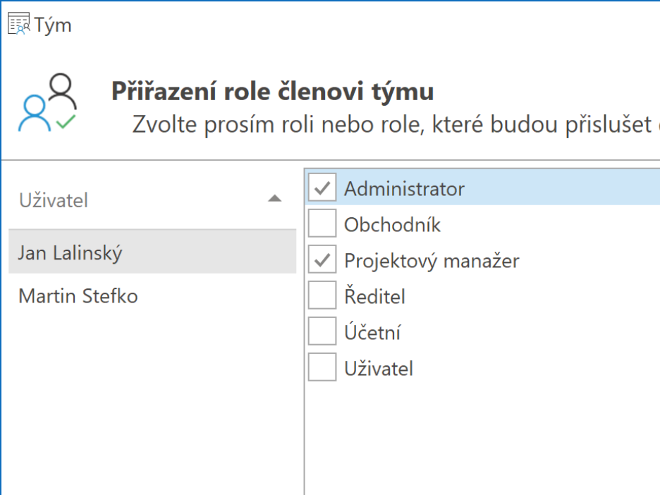 Výběr členů týmů a jejich rolí