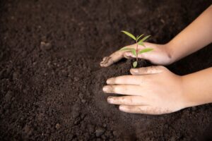 How To Create A Successful CSR Strategy In 2022