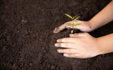 How To Create A Successful CSR Strategy