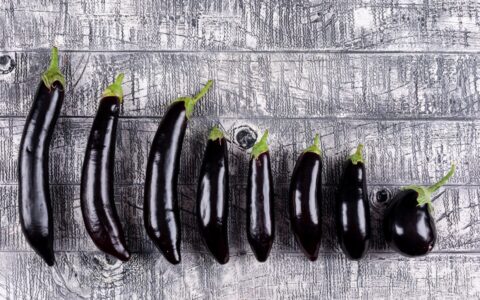 Ako si zoradiť dokumenty v eWay-CRM podľa veľkosti