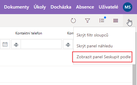 Zobrazit panel Seskupit podle