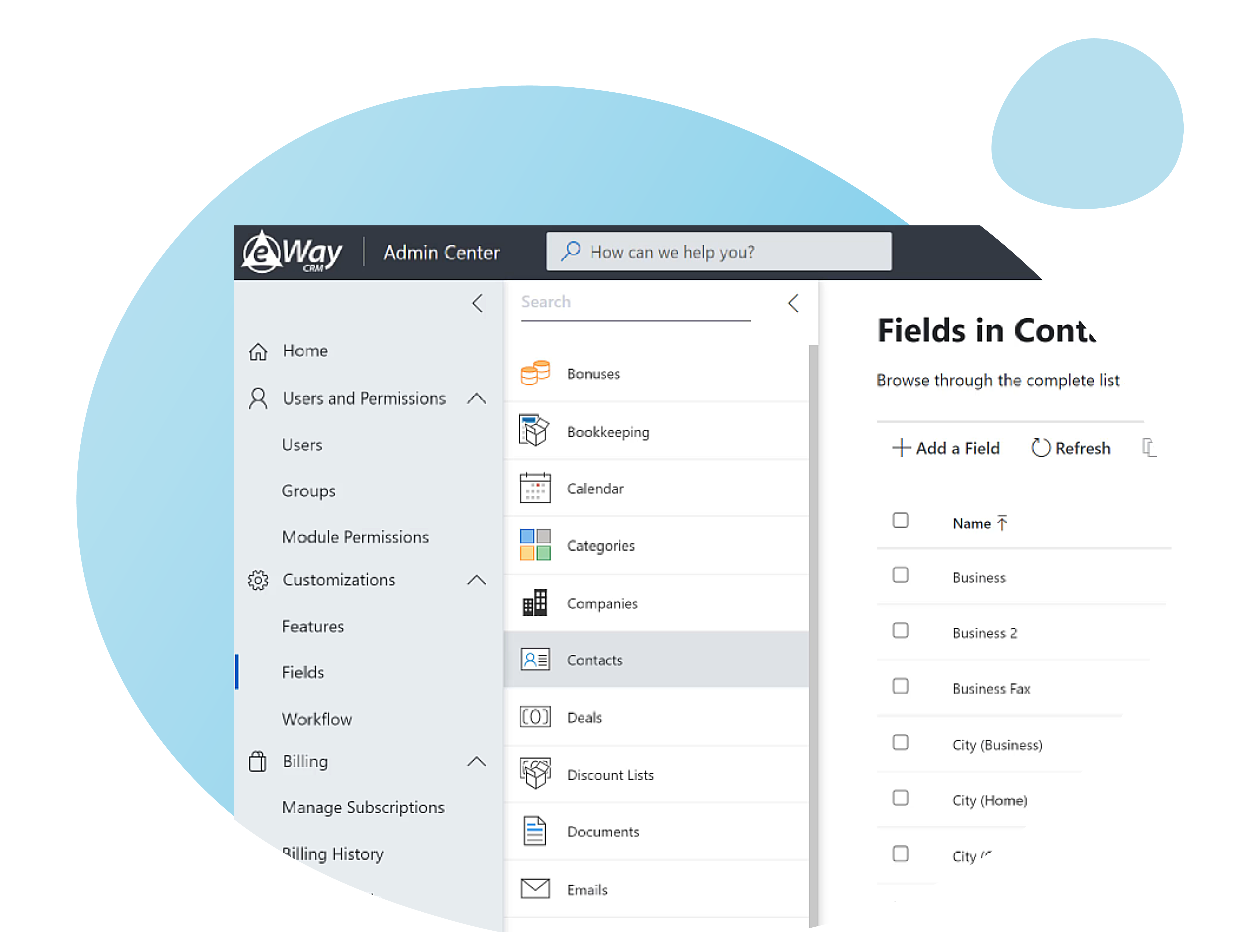 Custom fields in eWay-CRM