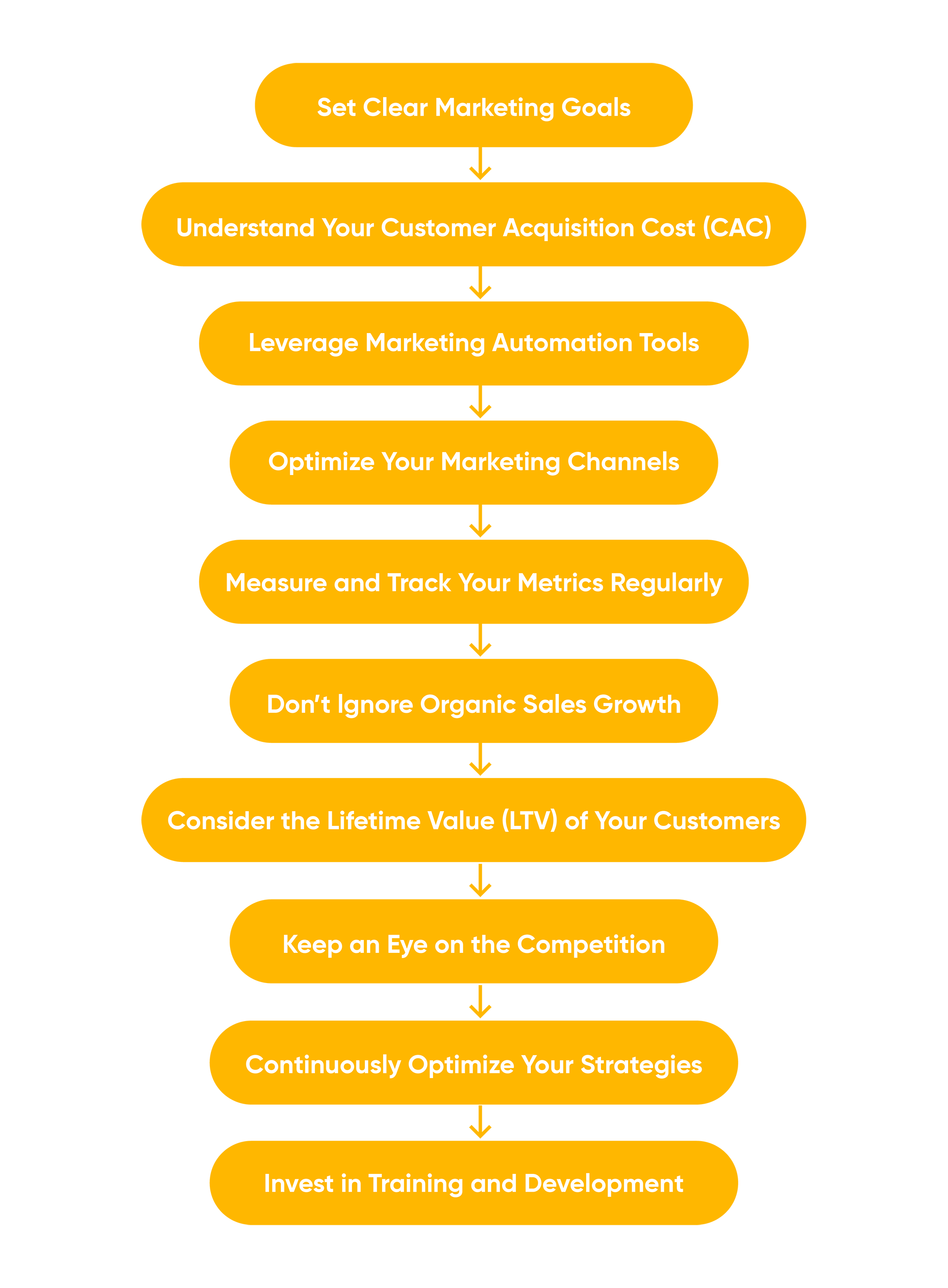 Optimizing Marketing ROI