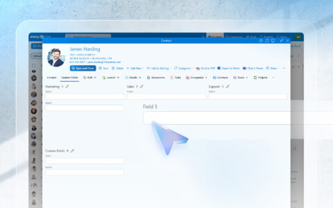 Your Data, Your Way: Meet the Custom Fields Tab in eWay-CRM Online